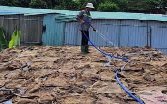 NÊN CHỌN BÊ TÔNG TƯƠI HAY BÊ TÔNG TRỘN TAY CHO NHÀ DÂN DỤNG
